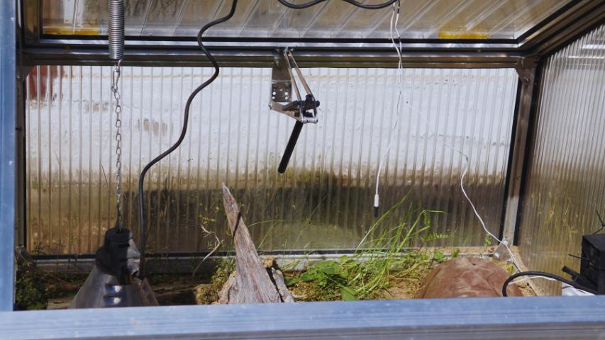 Fensterheber inklusive