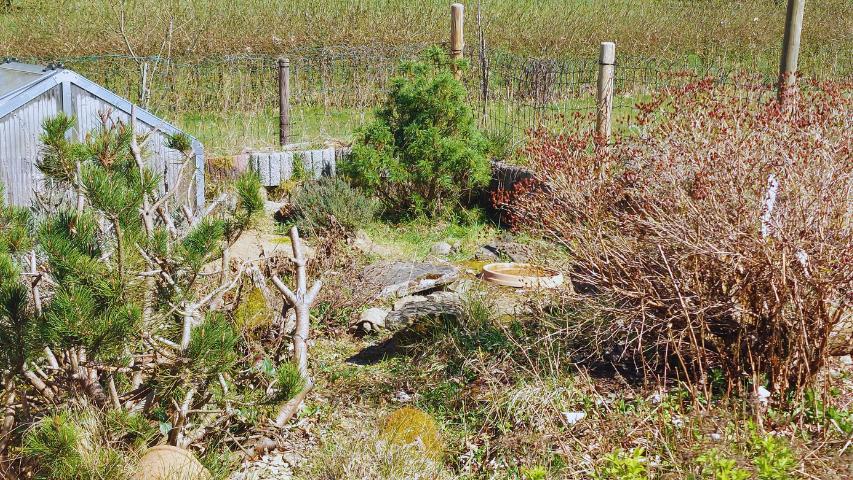 Schildkrötenhaus Bungalow "Typ" Residenz
