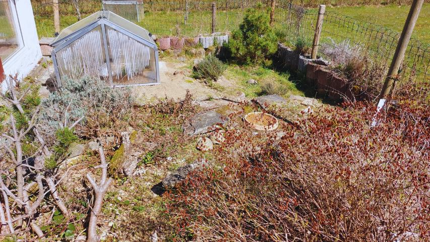 Schildkrötenhaus Bungalow "Typ" Residenz