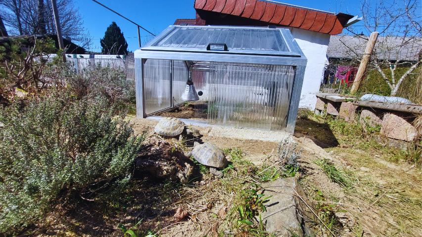 Schildkrötenhaus Modell Bungalow, Typ „Residenz"