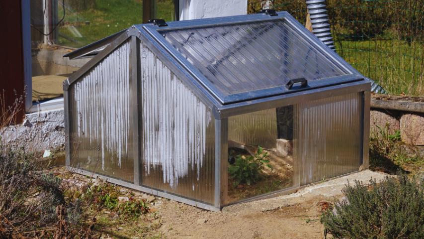 Schildkrötenhaus Modell Bungalow, Typ „Residenz"