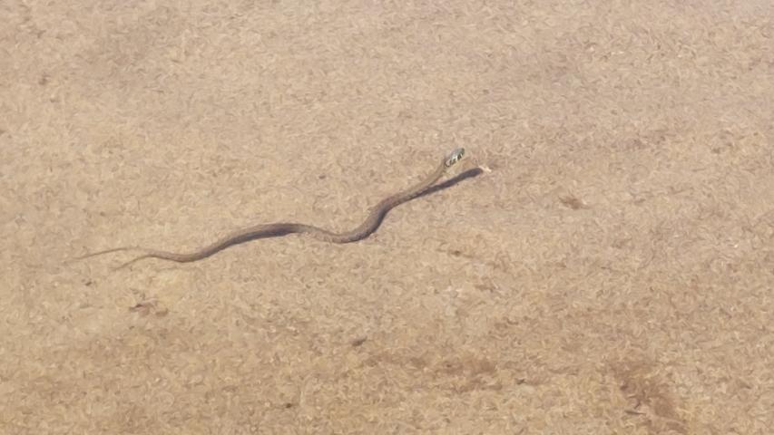 Strand von Sardinien