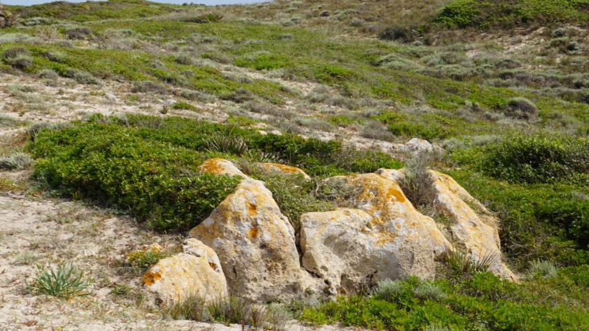 Sardinien - Nordwesten
