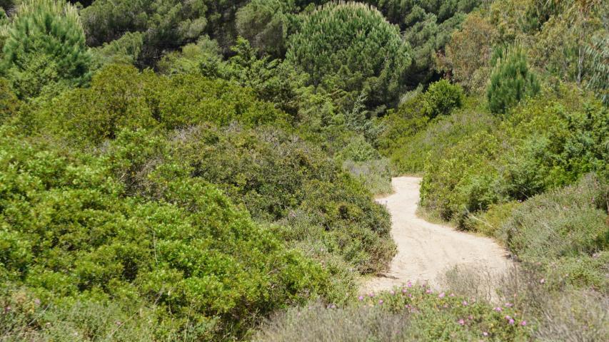 Habitat auf Sardinien