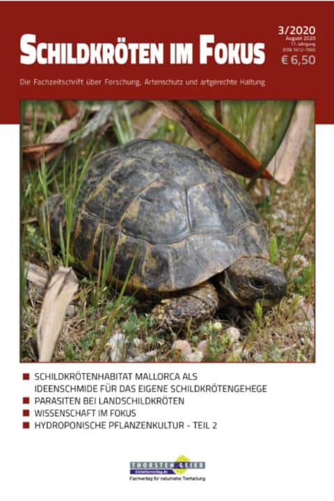 Schildkröten im Fokus 3/2020