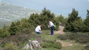 Habitat griechische Landschildkröte