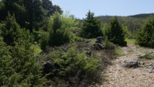 Lebensraum griechische Landschildkröten