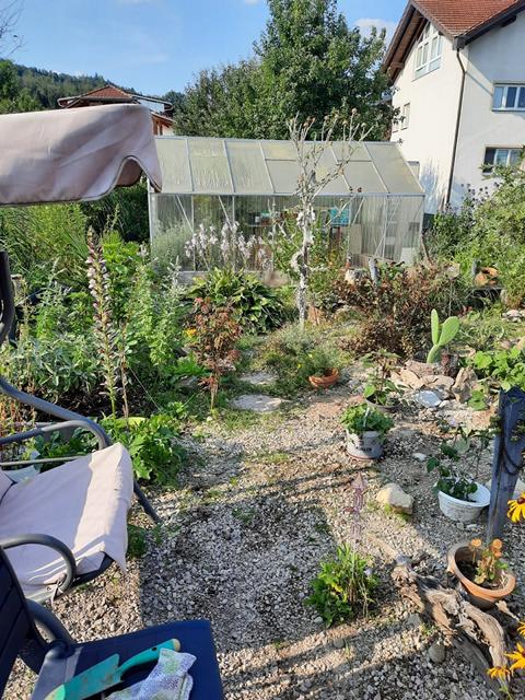 Schildkrötengehege von Anke Rotzler (4)