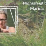 Schildkrötengehege von Marina (