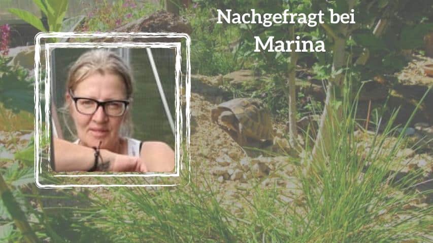 Schildkrötengehege von Marina (