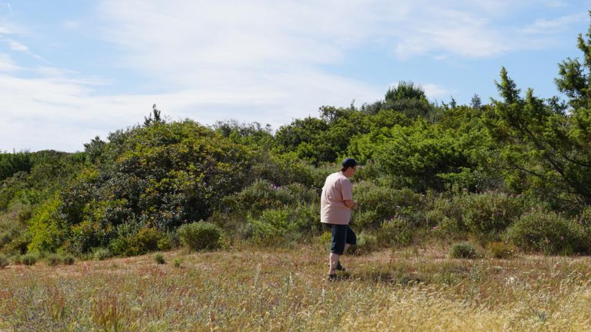 Schildkrötenhabitat auf Sardinien