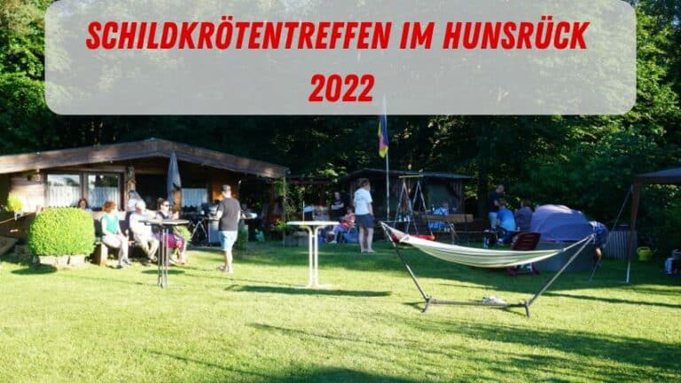 Schildkrötentreffen im Hunsrück 2022