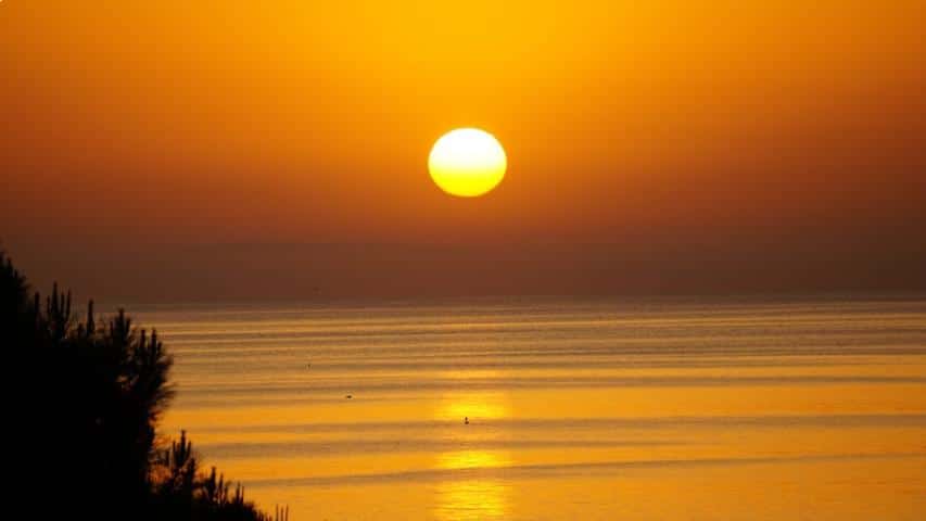 Schildkröten in Griechenland-Sonnenaufgang in Griechenland