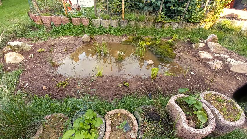 Wasserbiotop kurz vor der Eröffnung