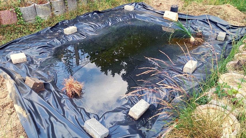 Wasser eingelassen und die Teichfolie glatt gedrückt
