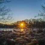 Winterstarre bei Landschildkröten: Warum milde Winter kein Problem sind Landschildkröten überwintern