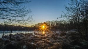 Landschildkröten überwintern
