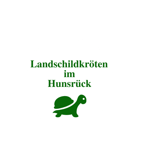 Landschildkröten im Hunsrück
