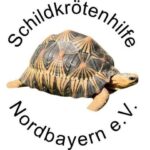 neue bildergröße schildkröten (8)