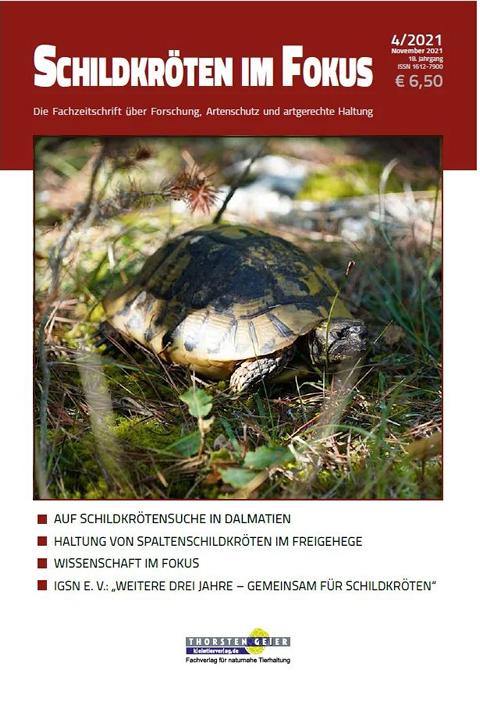 Schildkröten im Fokus: 04/21